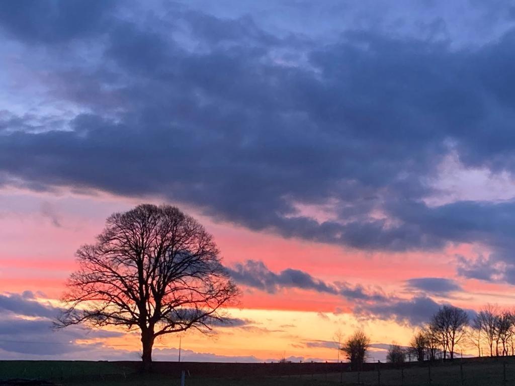 Glashaus Sternblick, Schlafen Unterm Sternenhimmel Neustadt am Kulm Exteriér fotografie